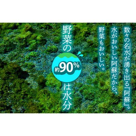 ふるさと納税 ＜畑から直送＞季節のお野菜セット 熊本県阿蘇市