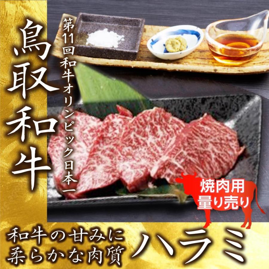 牛肉 ホルモン 国産 ハラミ 焼肉用 100g 量り売り BBQ  バーベキュー 鉄板焼き 横隔膜 鳥取 産地直送