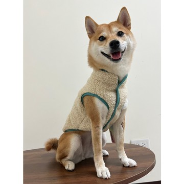 免睏【現貨 M&A寵物衣服 冬季保暖背心 彩色滾邊】商品實照 中型小型犬 狗衣服 貓衣服 寵物冬天衣服