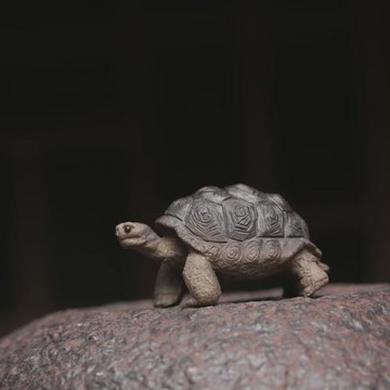 紫砂陸龜小茶寵富甲一方 小擺件茶玩雕塑手把件家居送禮小巧烏龜