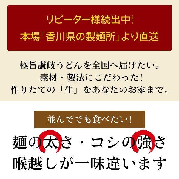 2種から選べる だし醤油付き30食 讃岐生うどん麺のみ45食 (麺300g×15袋) 送料無料(北海道・沖縄・離島 1500円)