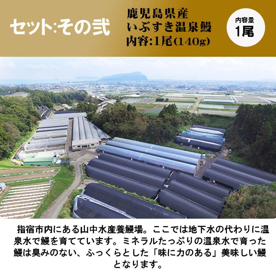 御歳暮 ギフト「鰻 ＆ 黒毛和牛切り落とし」かごしま温泉うなぎ 蒲焼き 黒毛和牛 肩バラ モモ 切り落とし