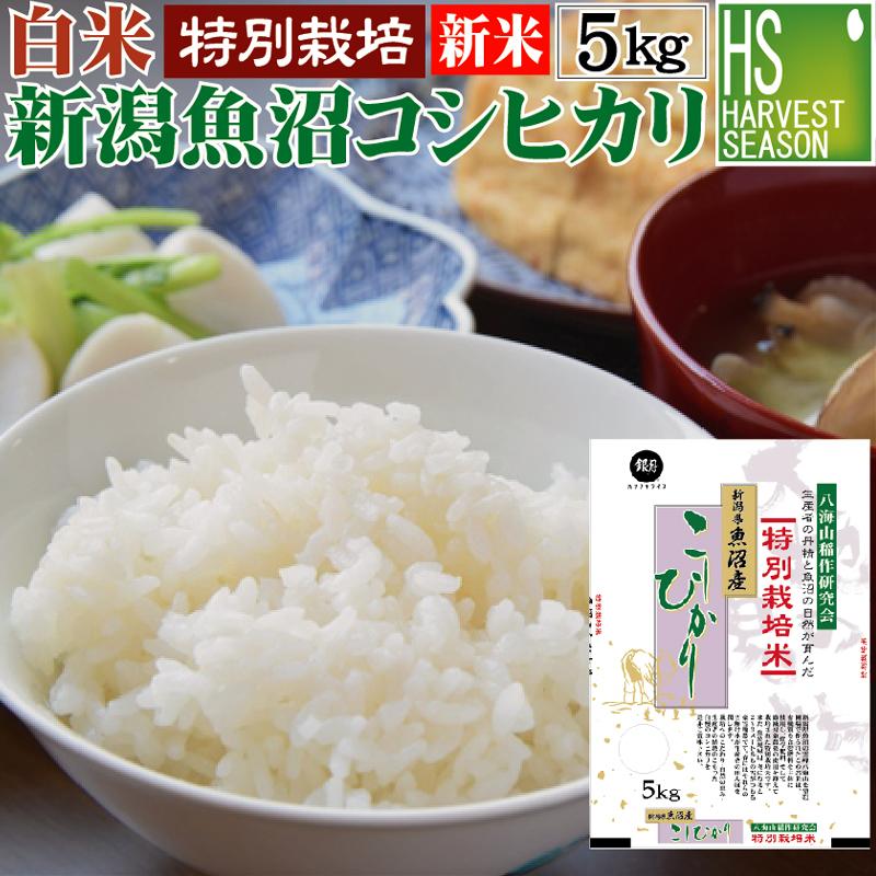 新米 コシヒカリ 5kg 米 新潟県 魚沼産 白米 精白米 令和5年産 送料無料 特別栽培米 生産者限定 HACCP認定工場 特A（SL）