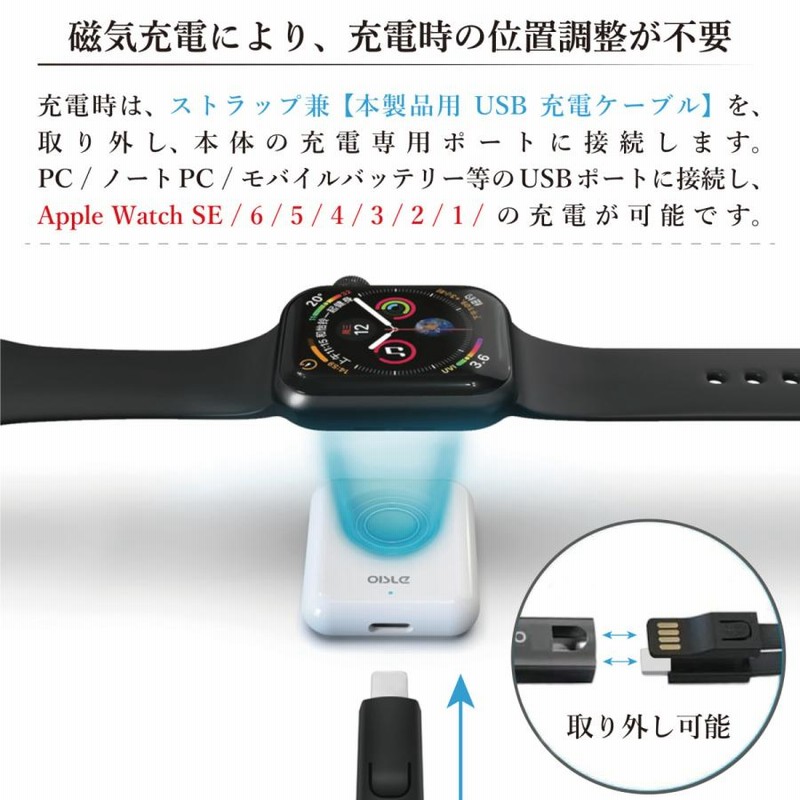 Apple Watch SEブラック 充電ケーブル付き 直せる
