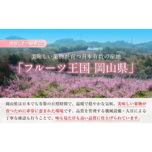 ふるさと納税 岡山県 瀬戸内市 フルーツ 定期便 2024年 先行予約 晴れの国 おかやま の 白桃 2kg 5玉〜7玉 シャイン マスカット 2房 合計1.4kg以上 岡山県産 …