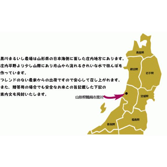 山形県庄内産コシヒカリ　白米５kg 令和５年度特別栽培米 農家直送 　特A