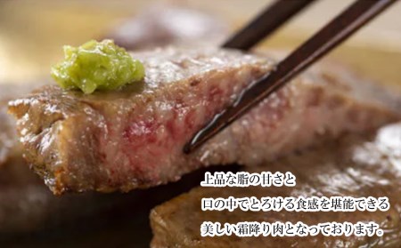 宮崎 県産 宮崎牛 サーロイン ステーキ 400g 200g×2枚 冷凍 送料無料 国産 牛 肉 霜降り ステーキ BBQ バーベキュー 焼肉 牛肉 ステーキ 国産 黒毛 和牛 ステーキ 宮崎県産 ブランド ステーキ 牛 送料無料