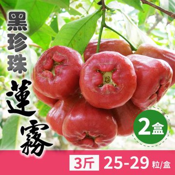 【家購網嚴選】屏東林邊黑珍珠蓮霧-小果3斤禮盒X2盒(約25-29顆/盒)