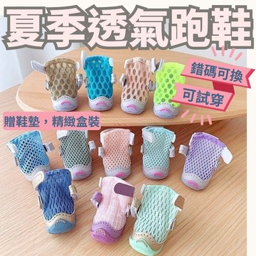 寵物鞋 狗鞋 台灣現貨 透氣款 兩只裝 比熊瑪爾小型犬 專利鞋底鞋身透氣鞋內吸汗止滑墊 專業狗鞋分左右腳 贈鞋墊 兩只裝