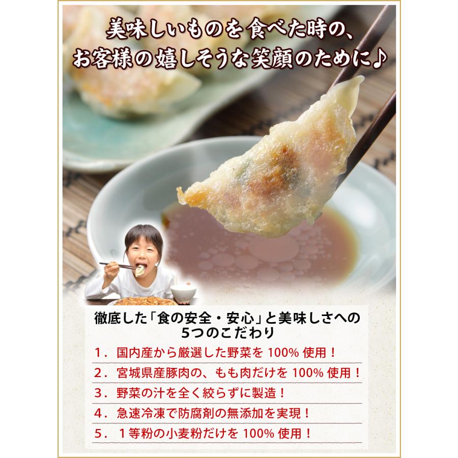 送料無料 (こだわり本格生餃子６０個入り) 1２人前　冷凍餃子  生餃子 餃子 ぎょうざ ギョーザ ギョウザ 冷凍生餃子 お取り寄せ セット 冷凍食品 グルメ