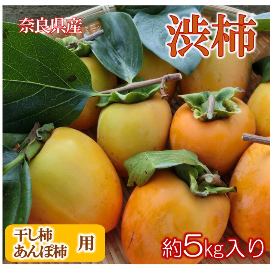 柿 かき 渋柿 奈良県産 約５Kg