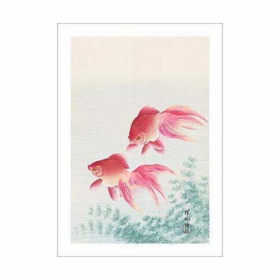 小原古邨 作品 金魚 ポスター インテリア A3サイズ 通販 Lineポイント最大get Lineショッピング