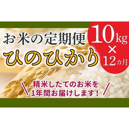 ふるさと納税 鹿児島県産米ひのひかり10kg定期便 013-07 鹿児島県南九州市