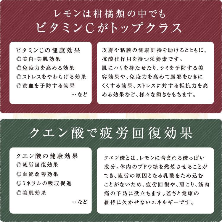 ドライフルーツ 国産 レモン 250g 送料無料 輪切り 皮も美味しい 酸味控えめ ドライレモン おやつ 南信州菓子工房 お菓子作りにも お歳暮