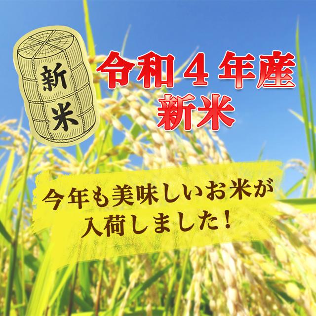 令和5年度産 新米 魚沼産 こしひかり 5kg 送料無料 新潟県 お米 5キロ