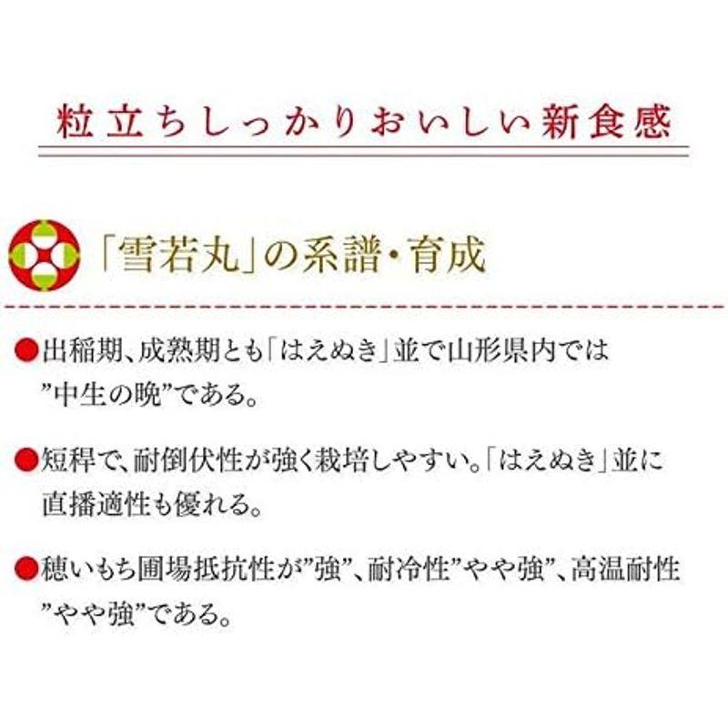 精米 山形県産 雪若丸 10kg（5kg×2袋） 令和4年産 ryy1004