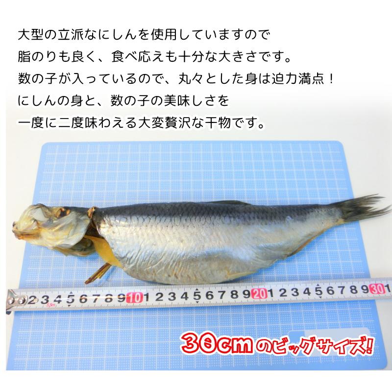 子持ち にしん 一汐干し 約30cm 丸干し・子持にしん丸干し・