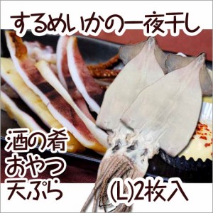 送料無料 イカ いか 一夜干し するめ  Lサイズ 2枚セット ポイント消化 剣先 山陰 日本海