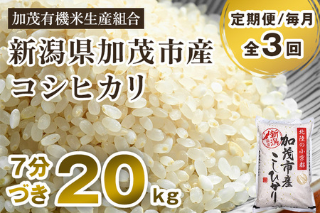 新潟県加茂市産 特別栽培米コシヒカリ 精米20kg（5kg×4） 従来品種コシヒカリ 加茂有機米生産組合 定期便 定期購入 定期 コシヒカリ 新潟県産コシヒカリ 米 お米