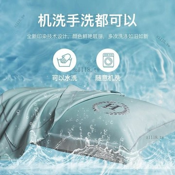 🎇可開發票✨水洗冰絲枕套一對裝純色刺繡枕頭套48x74cm單人單衹宿捨夏季枕套#免運