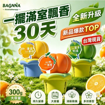 12H台灣出貨👿多肉造型香氛 300g大容量 軟萌小擺件 多方位淡味留香 清新花茶香 衛生間客廳臥室適用 多巴胺配色