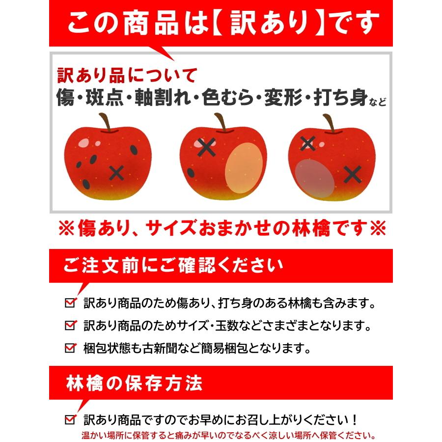 サンふじ　約3kg前後　バラ詰め　※玉数未定、サイズ混合、キズ、多少の痛みあり、林檎、りんご、リンゴ、ふじ、フジ