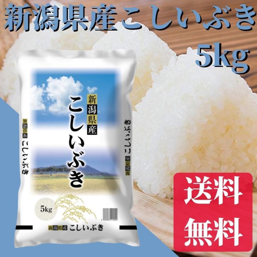 新米 令和5年 米 お米 5kg 送料無料 新潟県産こしいぶき 5kg 送料無料 米 コメ こめ 新潟県米 産地直送 直送