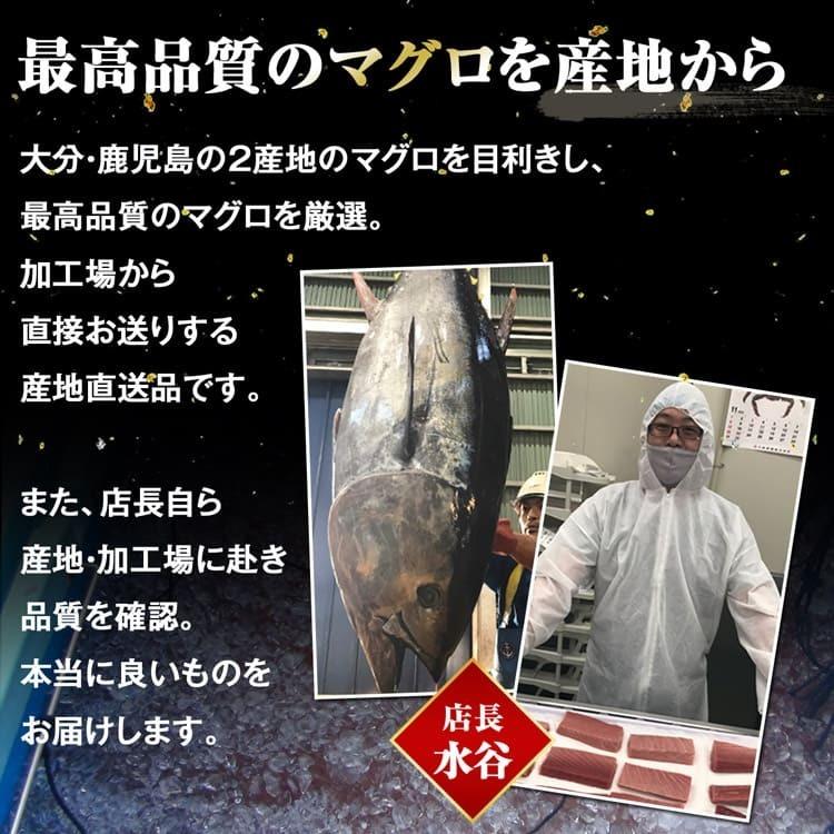 本まぐろ 産地直送 完全養殖 赤身 中トロ 3サク約500g セット クロマグロ 本マグロ 鮪 まぐろ 完全養殖 マルハニチロ BLUE CREST 産