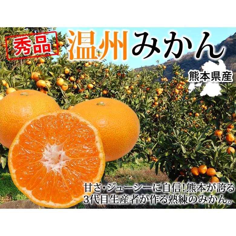みかん 10kg 送料無料 温州みかん 秀品 熊本県産 蜜柑 ミカン