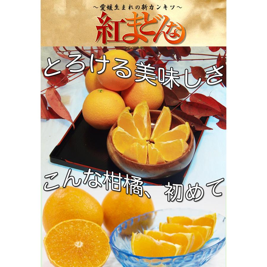 紅マドンナ 紅まどんな 送料無料 愛媛県 紅まどんな 秀品 3kg 12個入り ぜりーのようなプルプル果肉 愛媛の貴婦人 お歳暮 ギフト 予約 12月上旬頃から