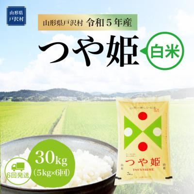 ふるさと納税 戸沢村  特別栽培米 つや姫 定期便 30kg(5kg×6回お届け)山形県 戸沢村