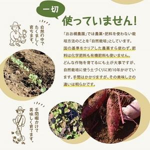 ふるさと納税 KAG-29　百笑オーガニック野菜セット（8〜10品目） 茨城県鹿嶋市