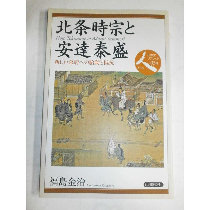 北条時宗と安達泰盛?新しい幕府への胎動と抵抗 (日本史リブレット人)