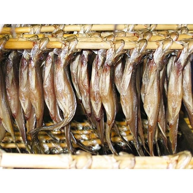 本ししゃもオス30尾(北海道産本柳葉魚)脂がのり身の引締った雄シシャモ 北海道の本シシャモ海鮮ギフト 御中元や御歳暮等にも