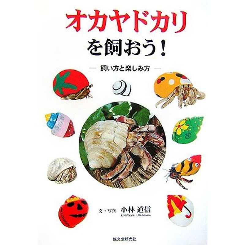 オカヤドカリを飼おう?飼い方と楽しみ方