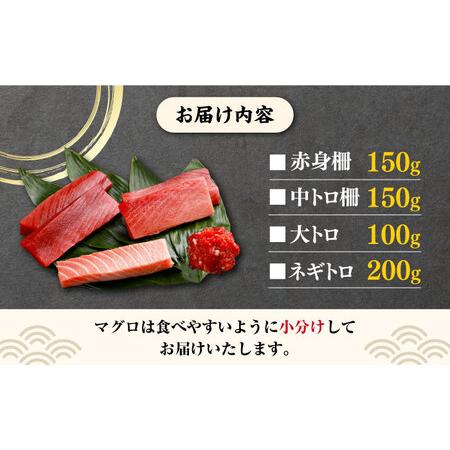 ふるさと納税 対馬産 養殖 本マグロ 4種×各1パック 赤身   中トロ   大トロ   ネギトロ )《対馬市》 新鮮 マグロ.. 長崎県対馬市