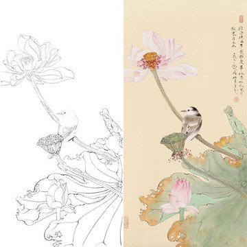 實物參照彩圖 底稿 可上色 列印稿 宣紙 工筆國畫花鳥荷花白描底稿四尺六尺臨摹透稿實物列印稿2-199