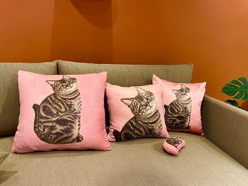 【絕版出清】最後一件 虎斑貓咪抱枕