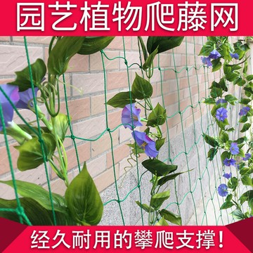 農用爬藤網黃瓜絲瓜豆角百香果葡萄鐵線蓮瓜果花卉植物大棚尼龍網