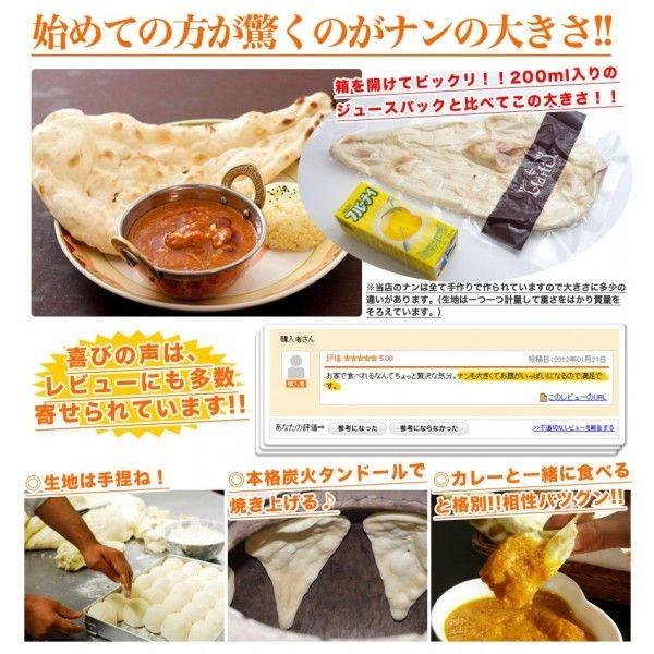 ナンカレーセットB 送料無料 インドカレー インド料理 セット商品