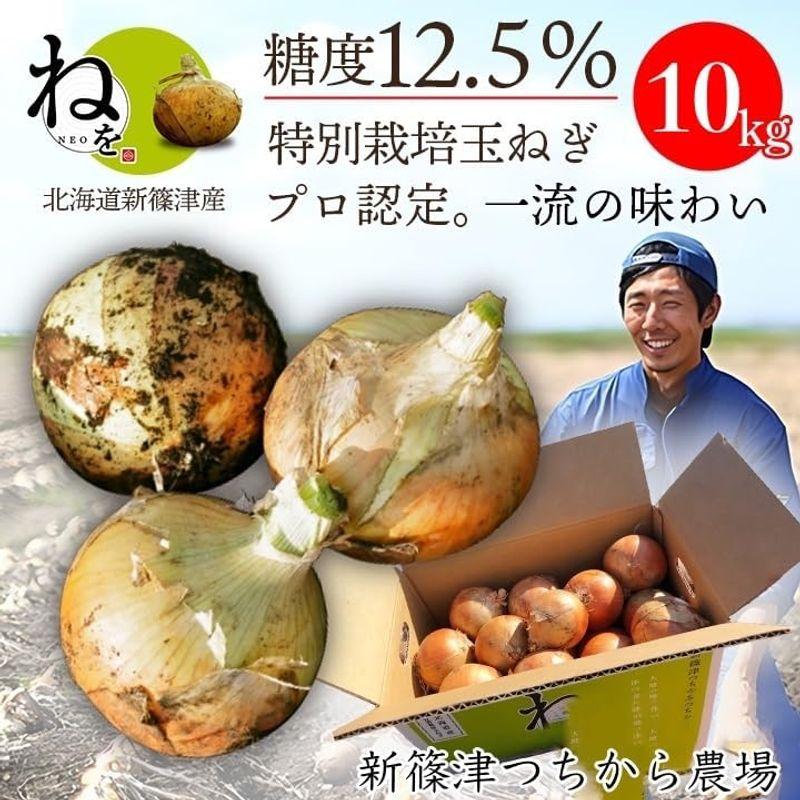 新篠津つちから農場 高級玉ねぎ「ねを NEO」北海道産 新篠津 特別栽培 高級たまねぎ (10kg)