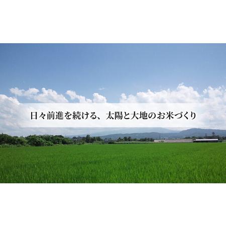 ふるさと納税 八重原産特別栽培米（減農薬・減化学肥料栽培）コシヒカリ（玄米）１０kgと信州味噌「八重原味噌」１kgのセット 長野県東御市