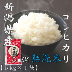 米 お米 令和5年産 無洗米 新潟県 コシヒカリ 5kg 合計 5kg