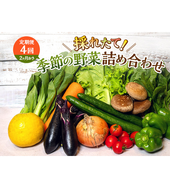 とれたて野菜パック 定期便4回 (2ヶ月おき) 季節の野菜セット 詰め合わせ 10品前後 ジャガイモ 人参 大根 小松菜 白ネギ グリ−ンリ−フ チンゲン菜 椎茸 トマト 水菜 葉ネギ 人気 厳選 袋