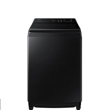 16KG 噴射雙潔淨 蒸氣變頻直立式洗衣機  WA16CG6886BV