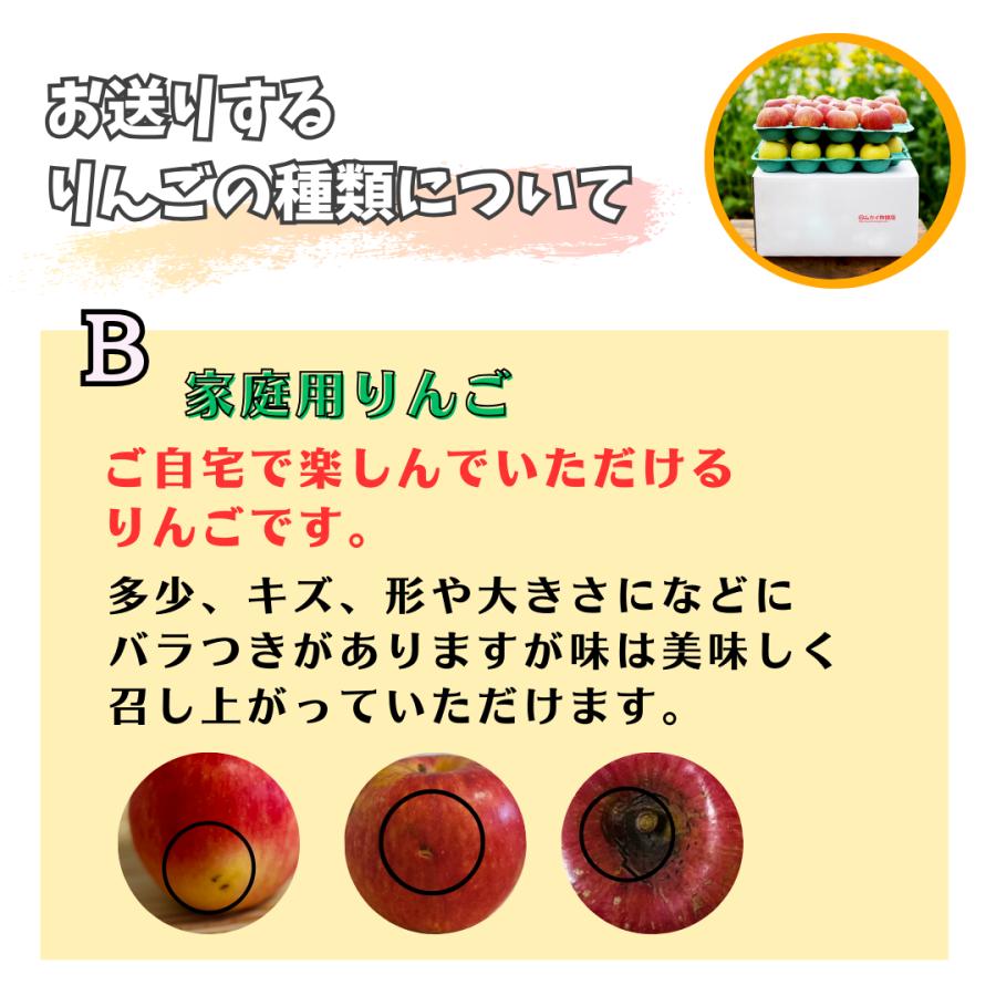 ◆産地直送(弘前産)「青森りんごお任せセット」3kg B