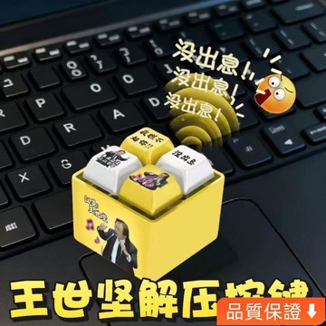 台灣出貨 新款王世堅從從容容發光語音發音按鍵按鈕鍵盤掛件鑰匙扣解壓玩具