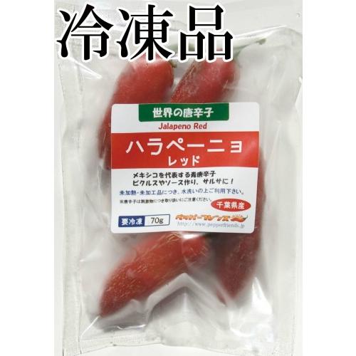 国産　生唐辛子　ハラペーニョ　レッド　70g　冷凍品　千葉県産