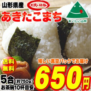 新米 米 お米 ポイント消化 あきたこまち 750g (5合) 玄米 令和5年度産 山形県産 送料無料 メール便 ゆうパケ