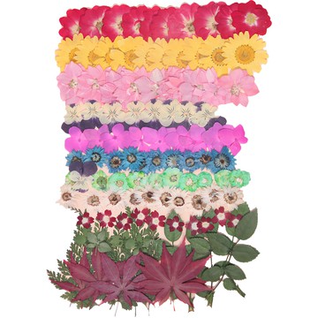 Pressco21 押花工藝綜合包 K509 100入  什錦色  1套